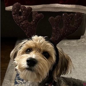 Meet your Posher, Melinda